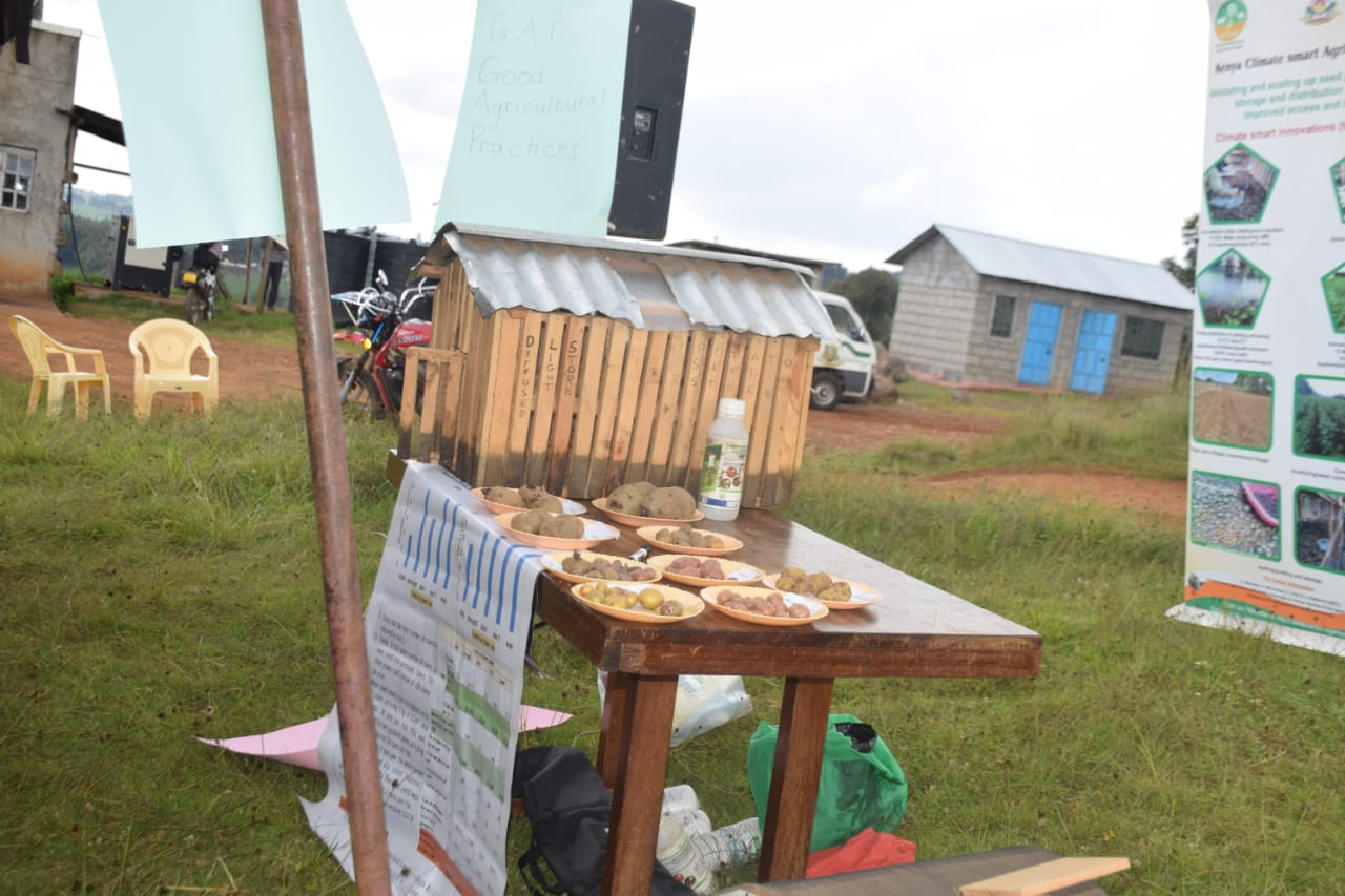 ROOTS OF EXCELLENCE: OPTIMIZING SEED POTATO PRODUCTION AND PROMOTING BEST AGRICULTURAL PRACTICES