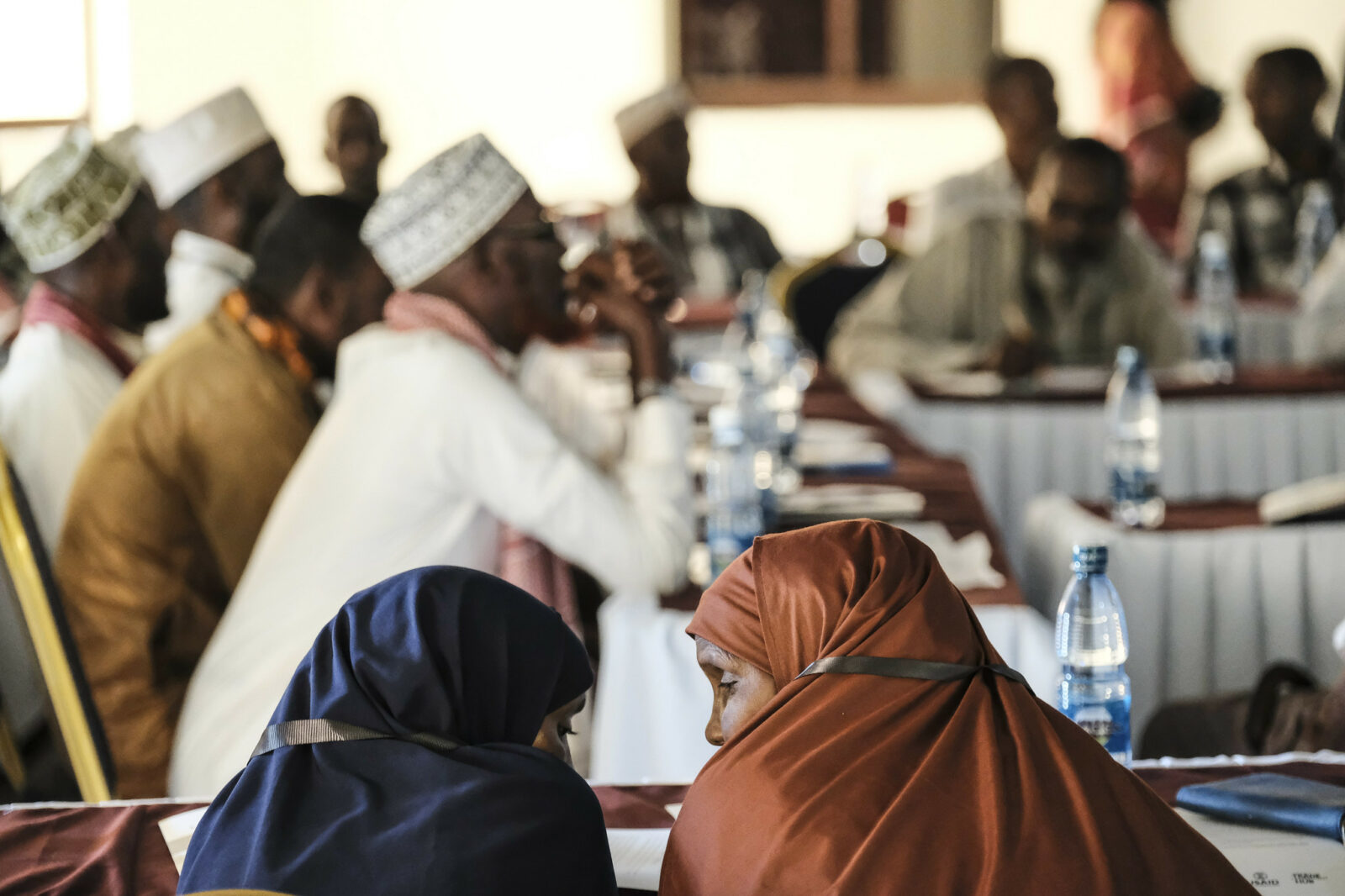 Transforming Kenya’s Food Systems and Establishing a Science-Policy Interface