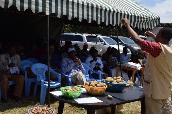 Figure 1 the SPVC CARP PI Prof. Anthony Kibe elaborating characteristics of good quality seeds to farmers