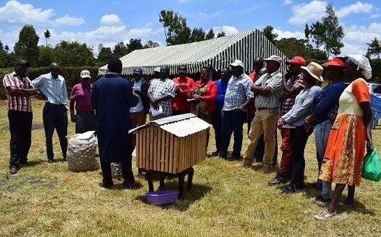 Post-Harvest Handling of Seed Potato training and extension held in Amboni, Mweiga, Kieni West, Nyeri