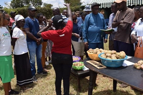 Figure 1 the SPVC CARP PI Prof. Anthony Kibe elaborating characteristics of good quality seeds to farmers