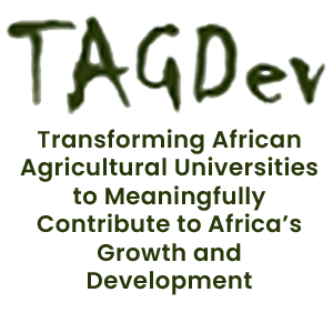 tagdev logo 1