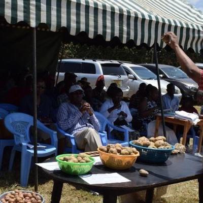 Figure 1 The Spvc Carp Pi Prof. Anthony Kibe Elaborating Characteristics Of Good Quality Seeds To Farmers